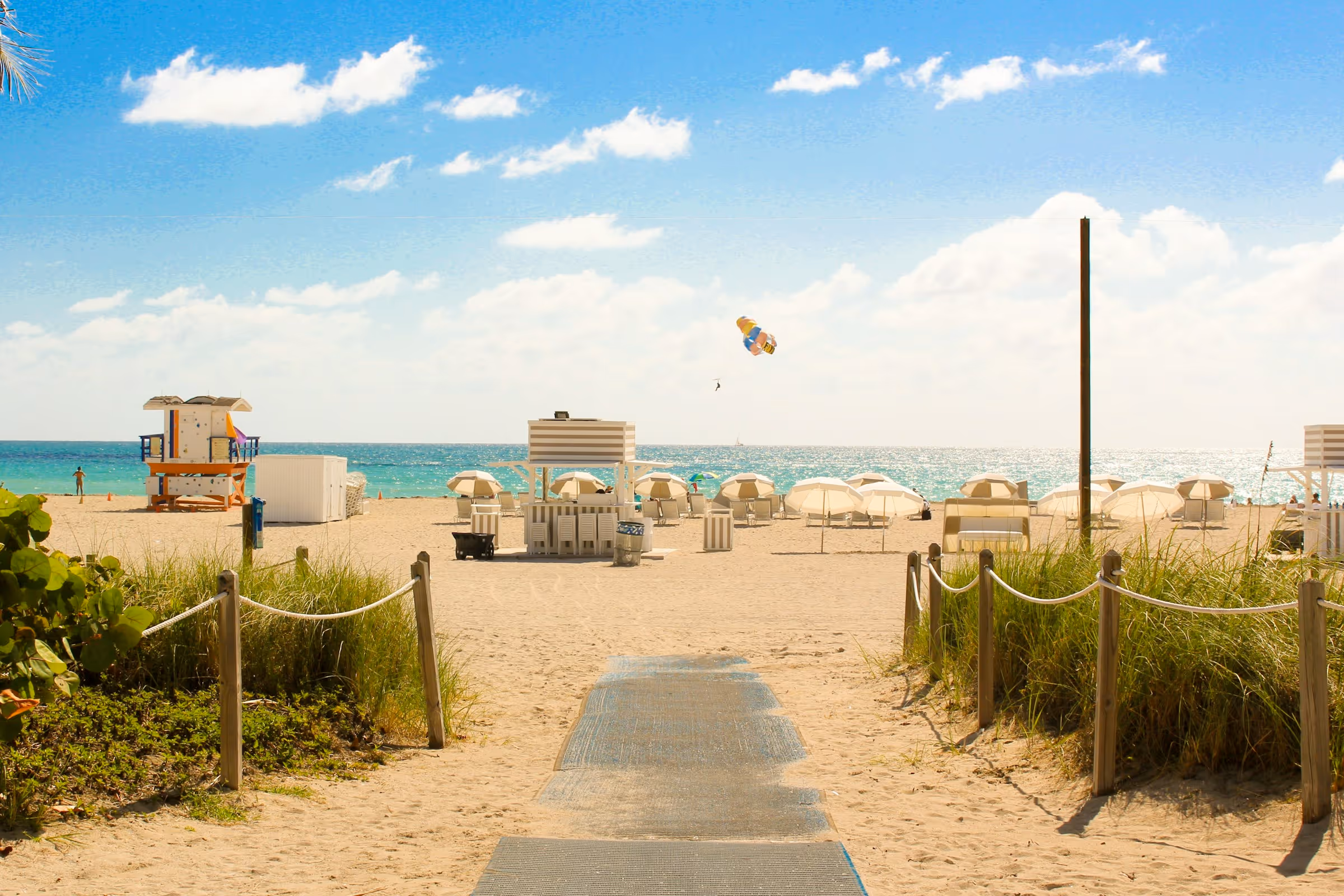 Best TSA PreCheck Application, Appointment, and Online Renewal Service in Florida