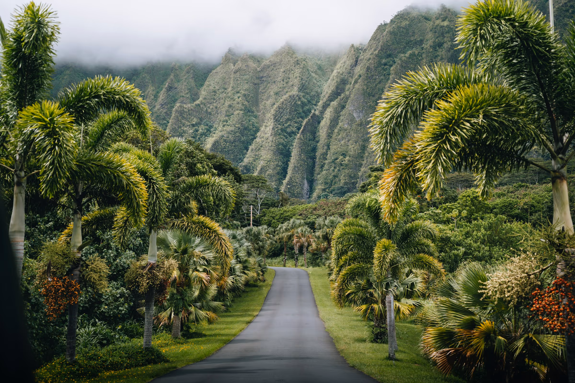 Best TSA PreCheck Application, Appointment, and Online Renewal Service in Hawaii