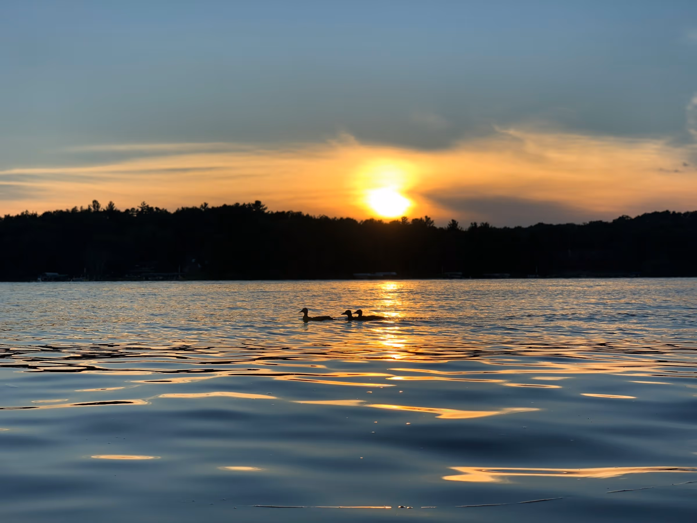 Best TSA PreCheck Application, Appointment and Online Renewal Service in Minnesota