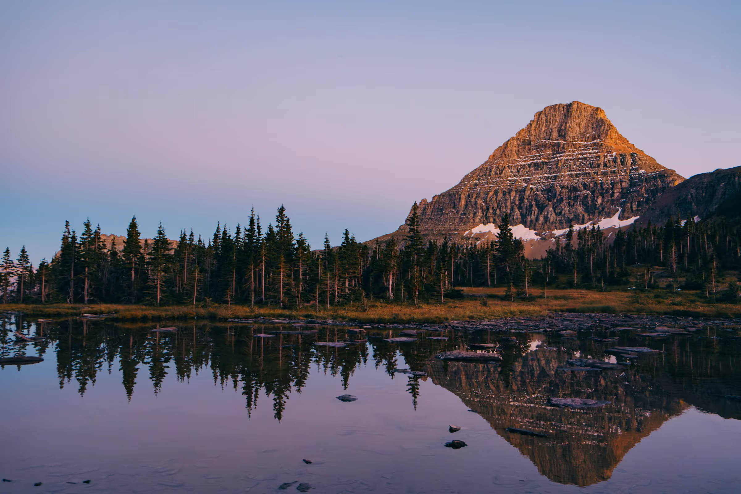 Best TSA PreCheck Application, Appointment and Online Renewal Service in Montana