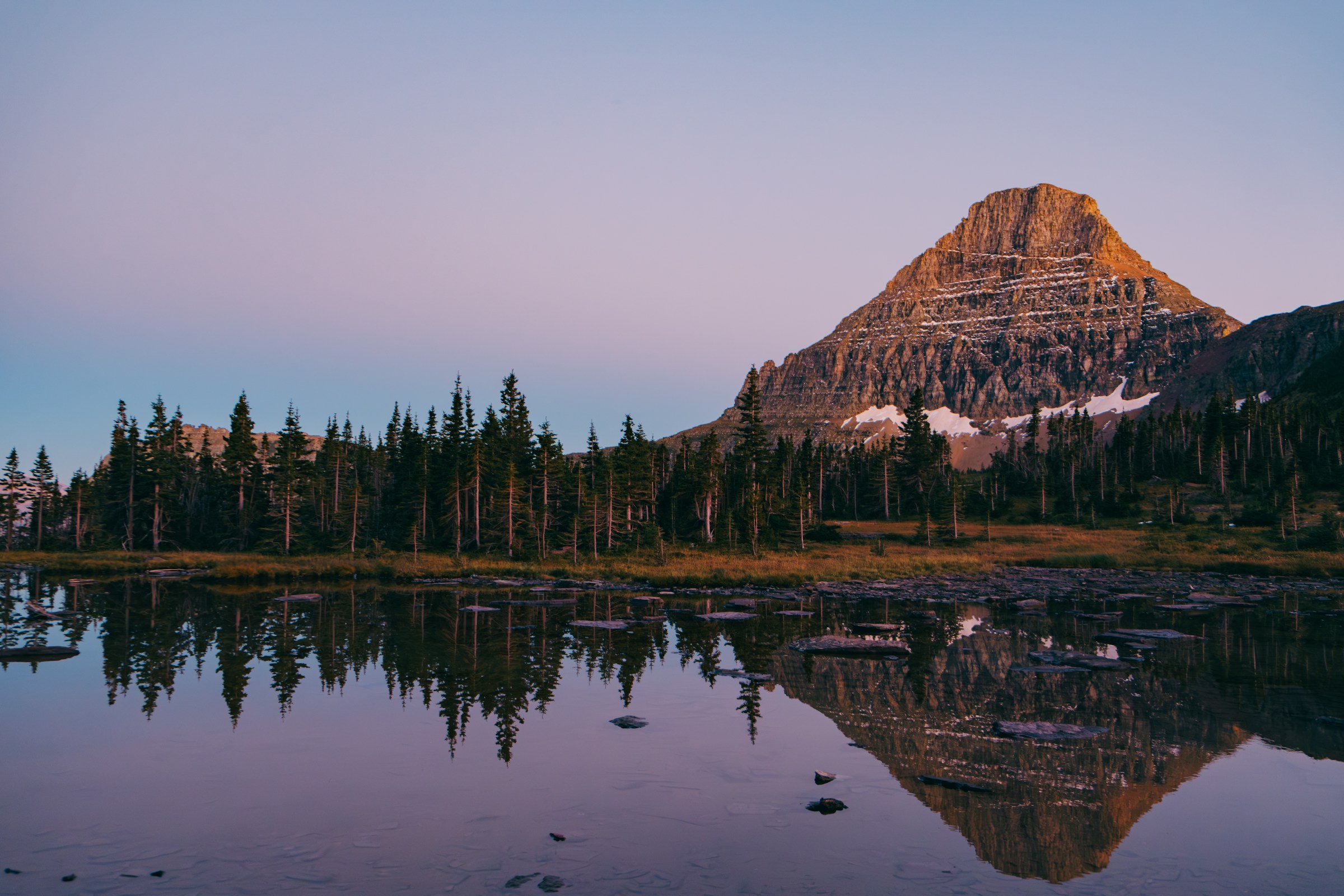 Best TSA PreCheck Application, Appointment and Online Renewal Service in Montana