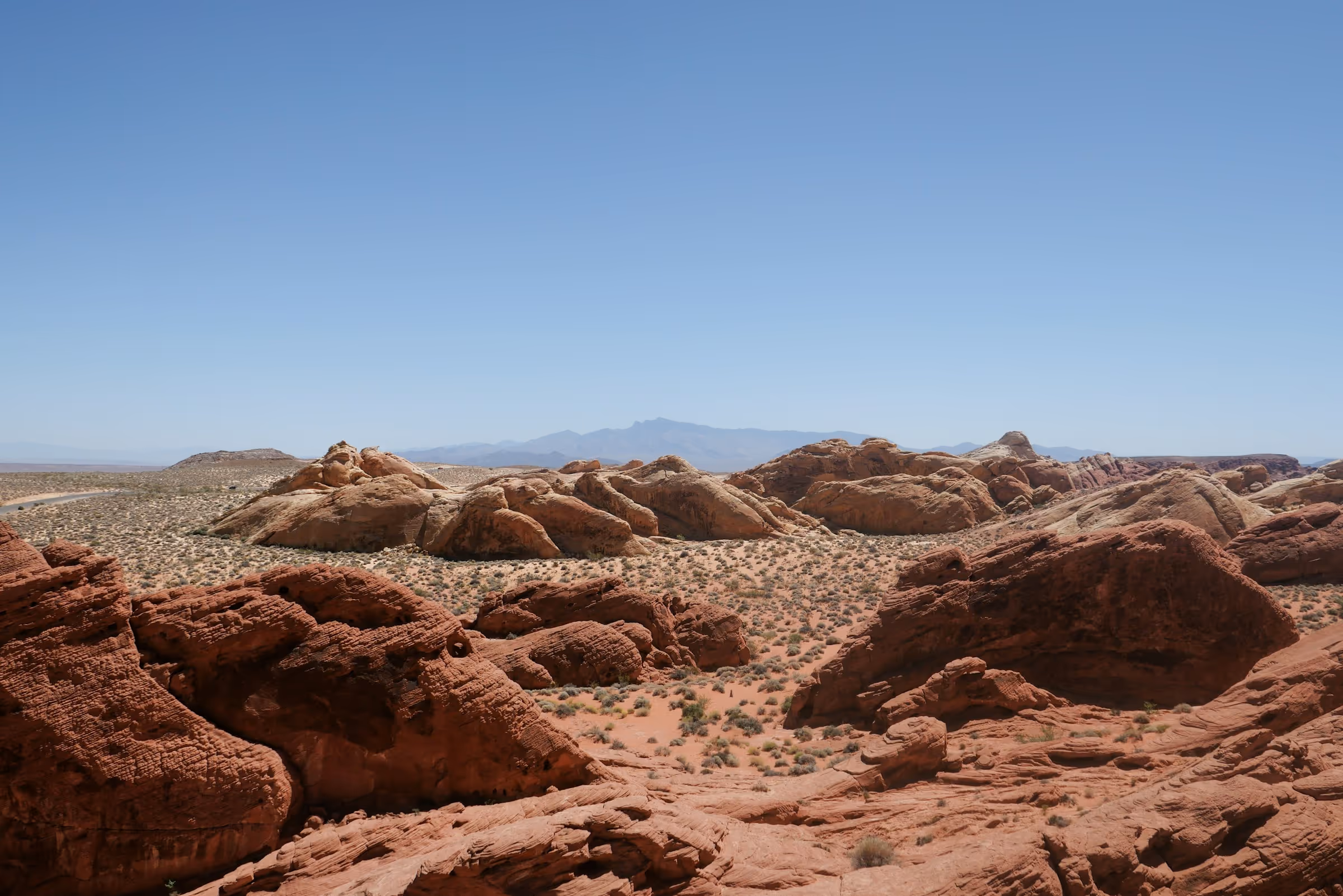 Best TSA PreCheck Application, Appointment and Online Renewal Service in Nevada