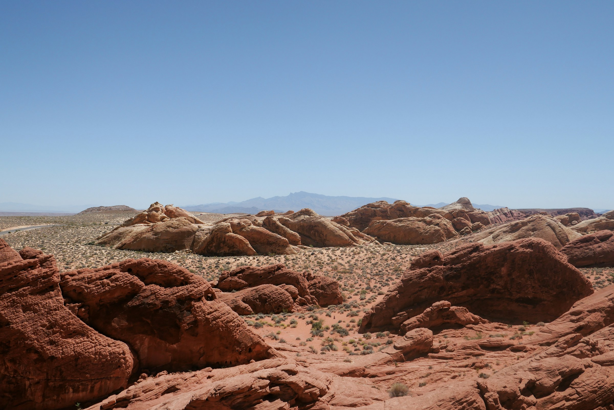 Best TSA PreCheck Application, Appointment and Online Renewal Service in Nevada