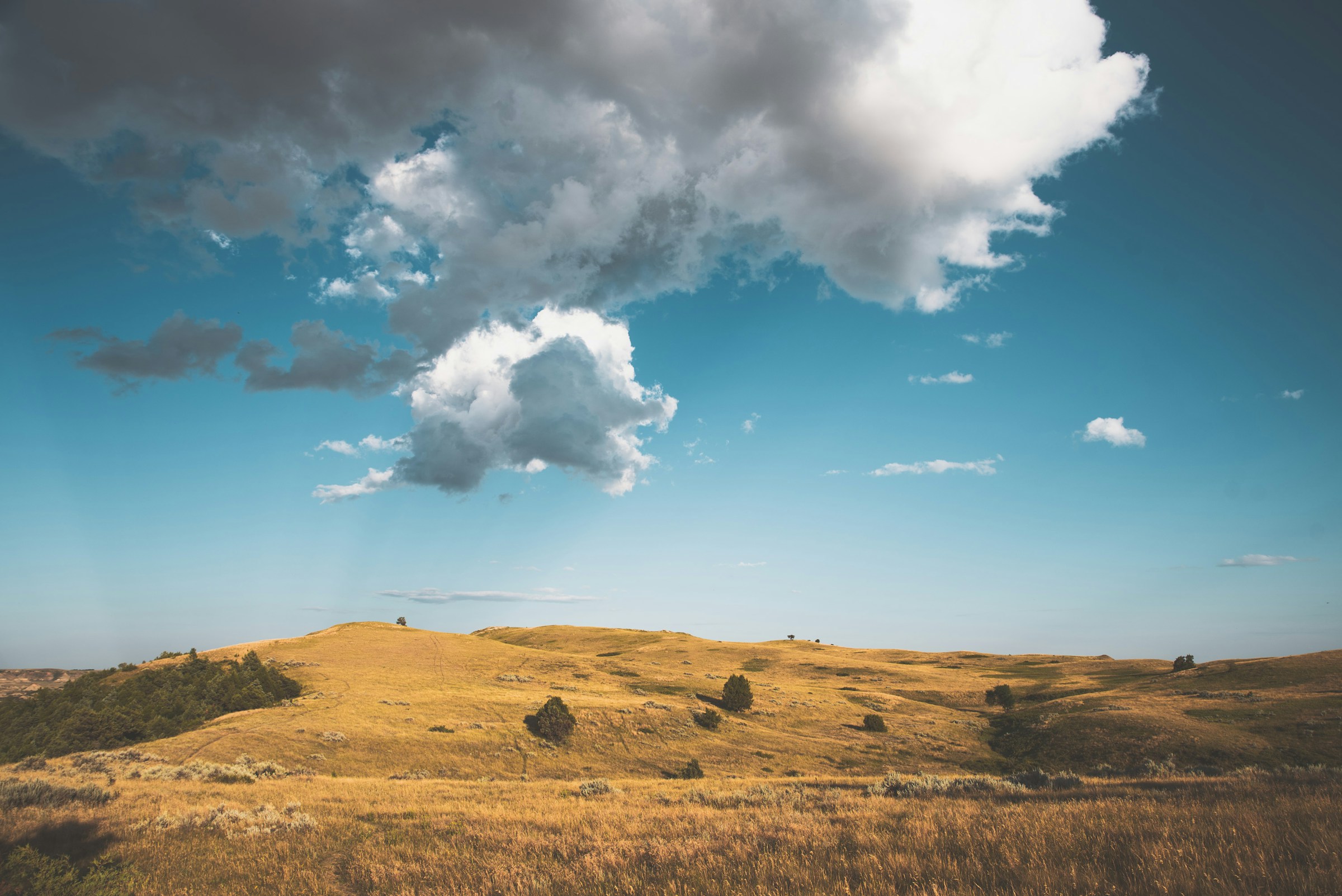 Best TSA PreCheck Application, Appointment and Online Renewal Service in North Dakota