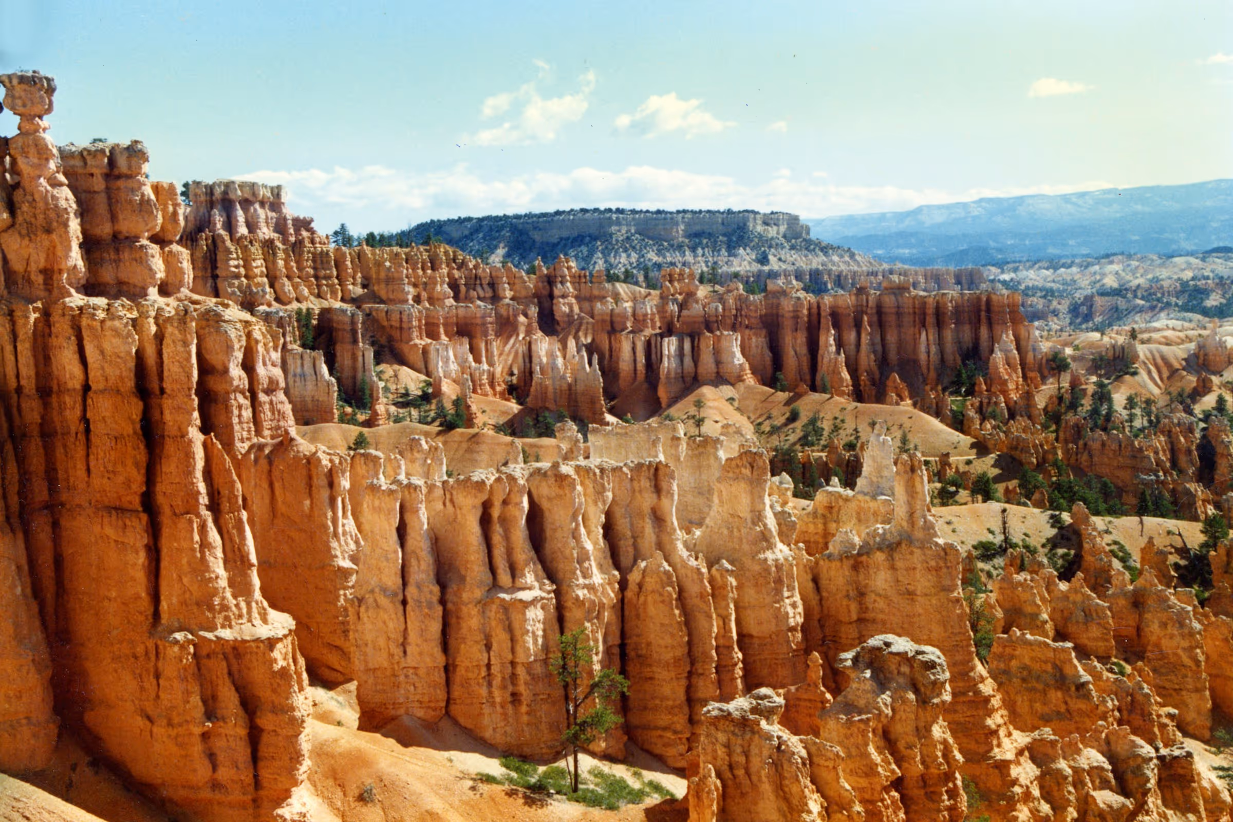 Best TSA PreCheck Application, Appointment and Online Renewal Service in Utah