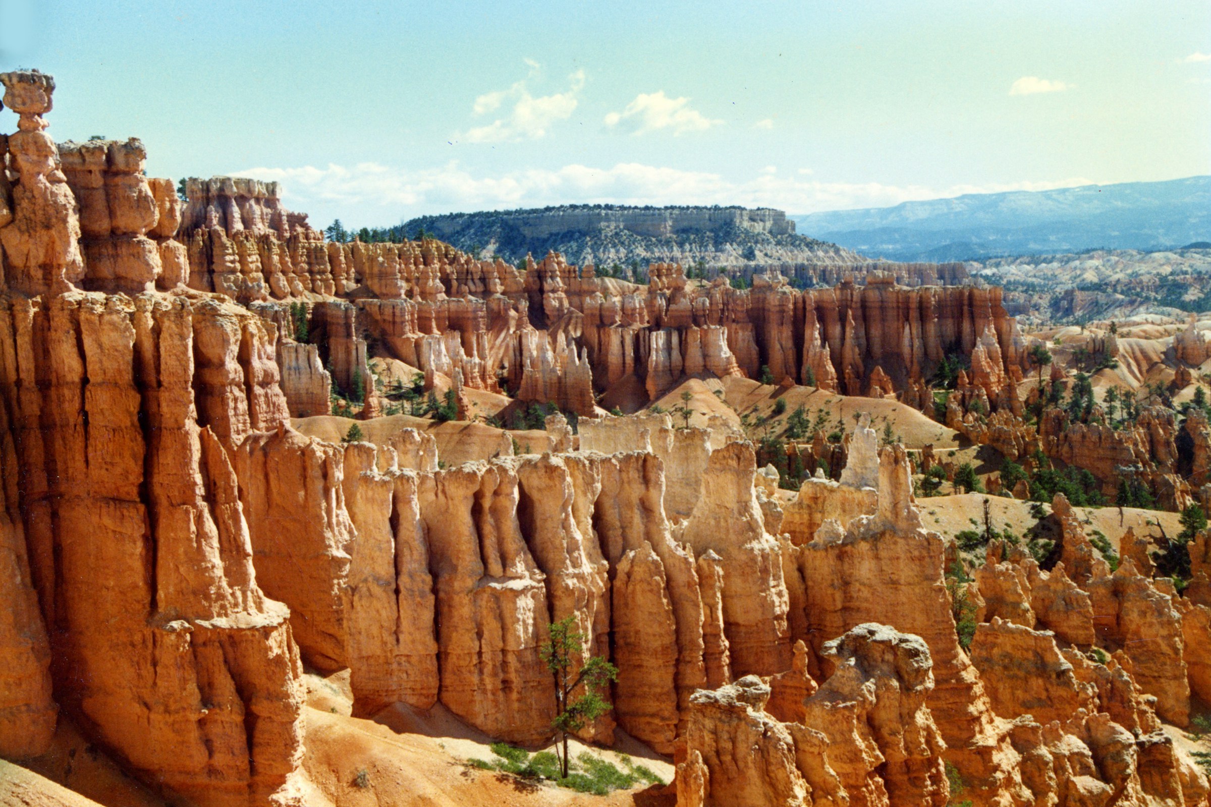 Best TSA PreCheck Application, Appointment and Online Renewal Service in Utah