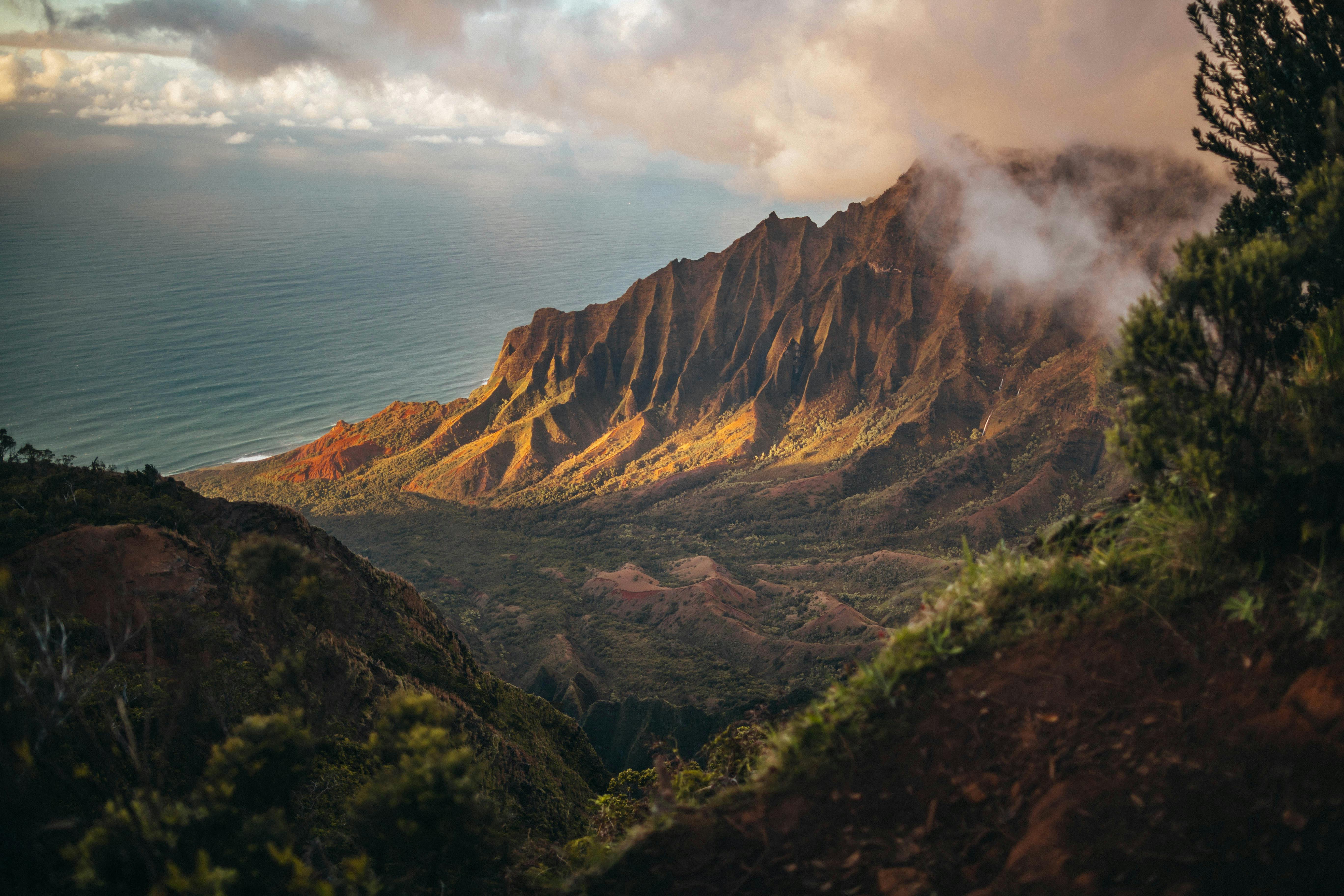 Best Online Services for Social Security Card Replacement and New Card Applications in Hawaii