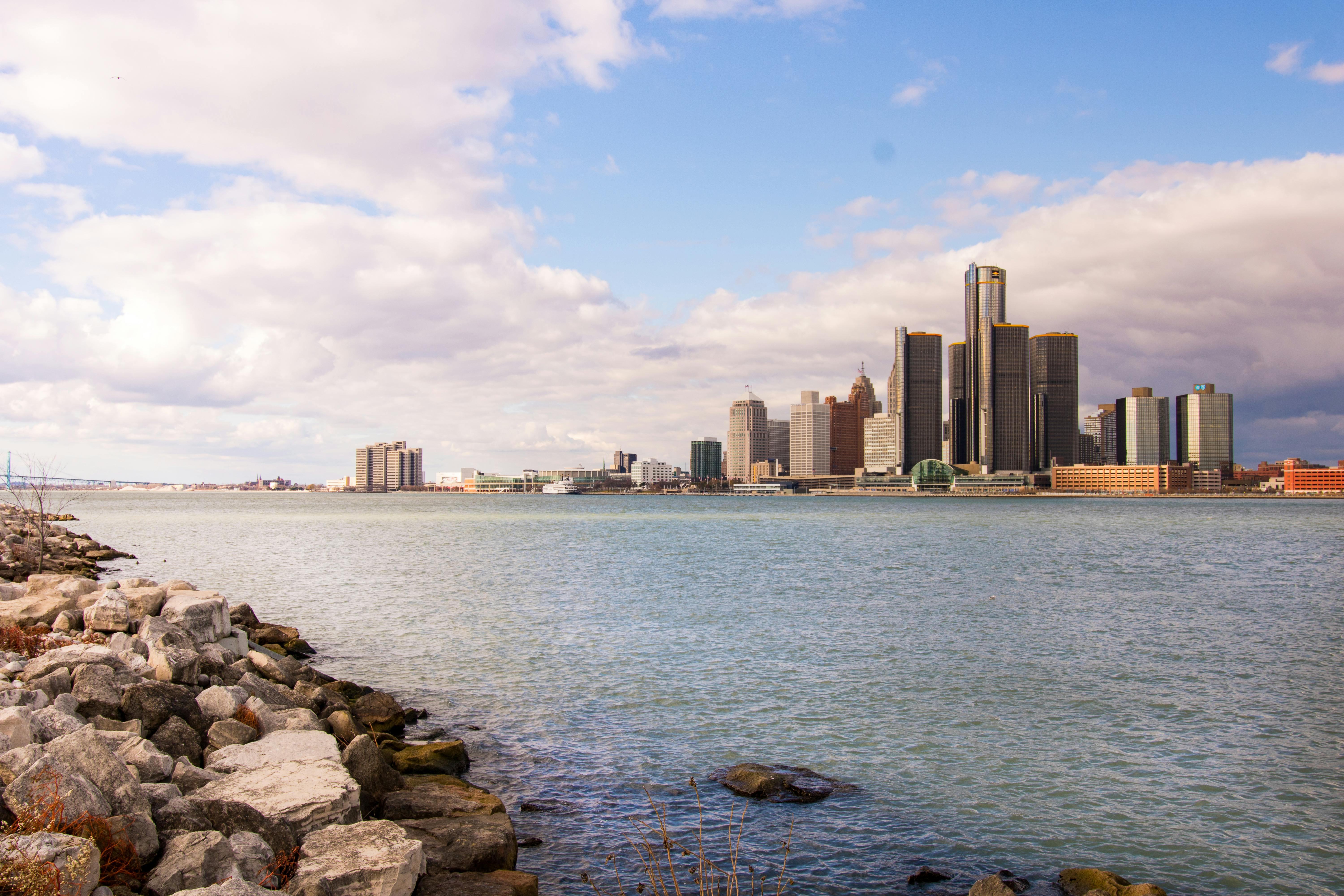 Best Online Services for Social Security Card Replacement and New Card Applications in Michigan