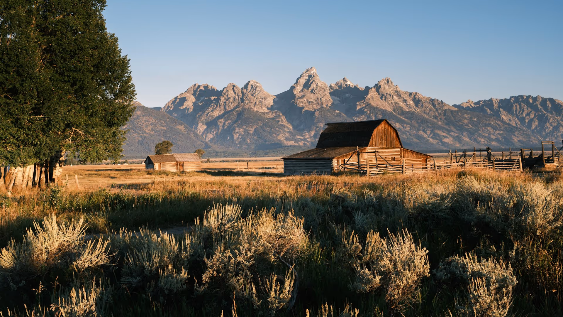 Best Online Services for Social Security Card Replacement and New Card Applications in Wyoming
