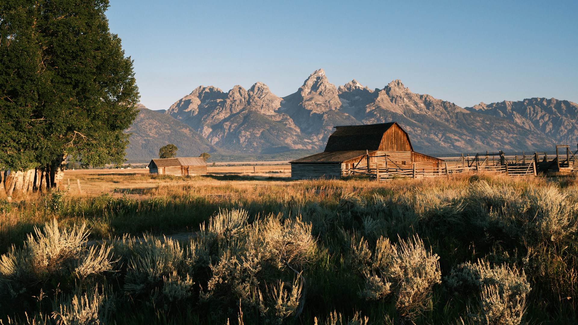 Best Online Services for Social Security Card Replacement and New Card Applications in Wyoming