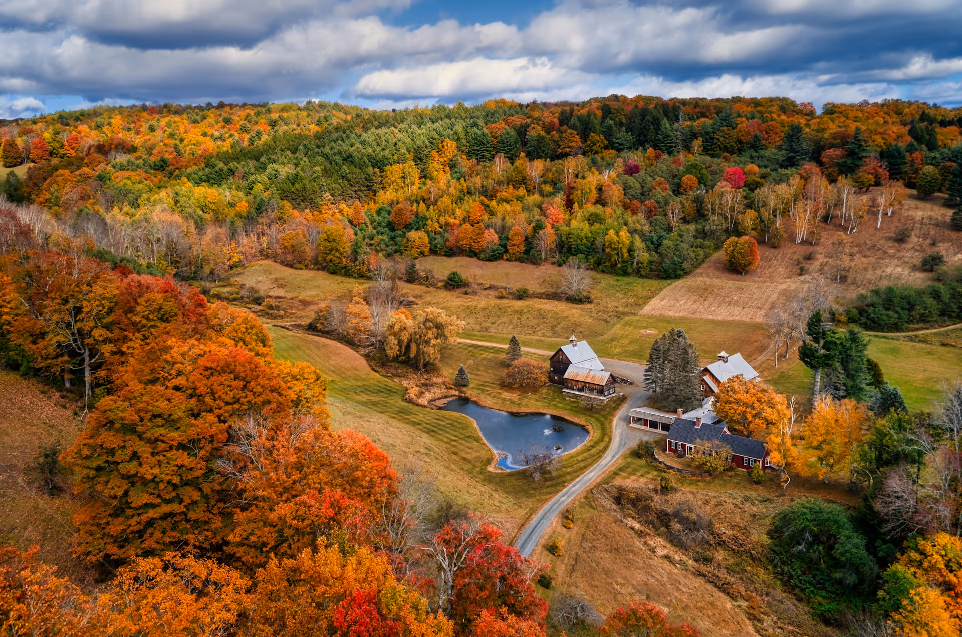 Best Online Change of Address Services for Home or Business in Vermont