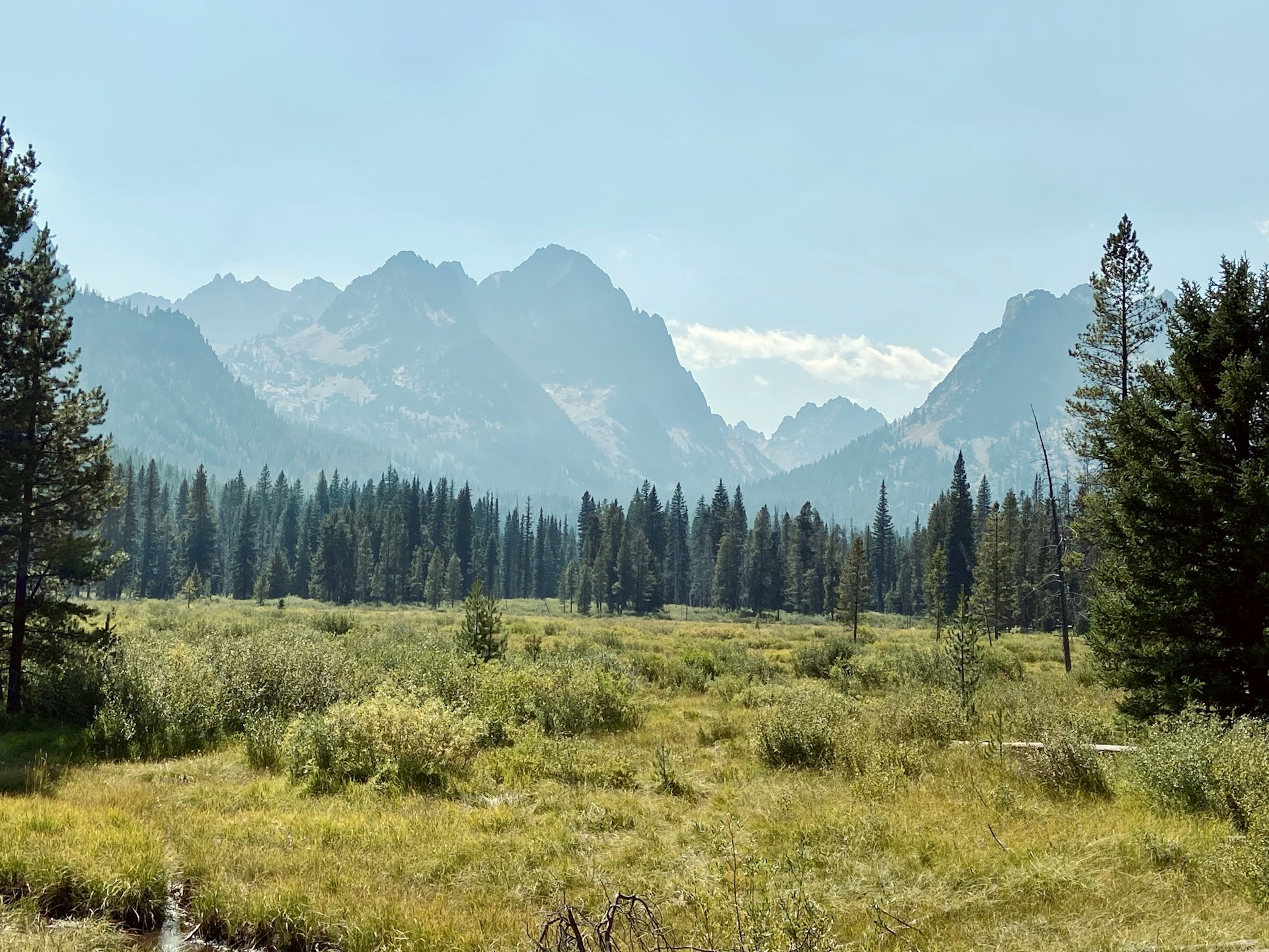 Best Employer Identification Number (EIN) Online Application & Retrieval Service in Idaho