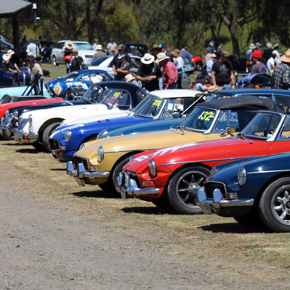 A row of classic vintage sports cars in various colors including red, yellow, blue, and white, parked on grass at an outdoor car show with people walking and observing in the background.