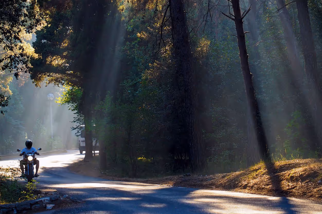 Biker on country side road