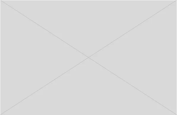 Caption: Image caption describing the above image.