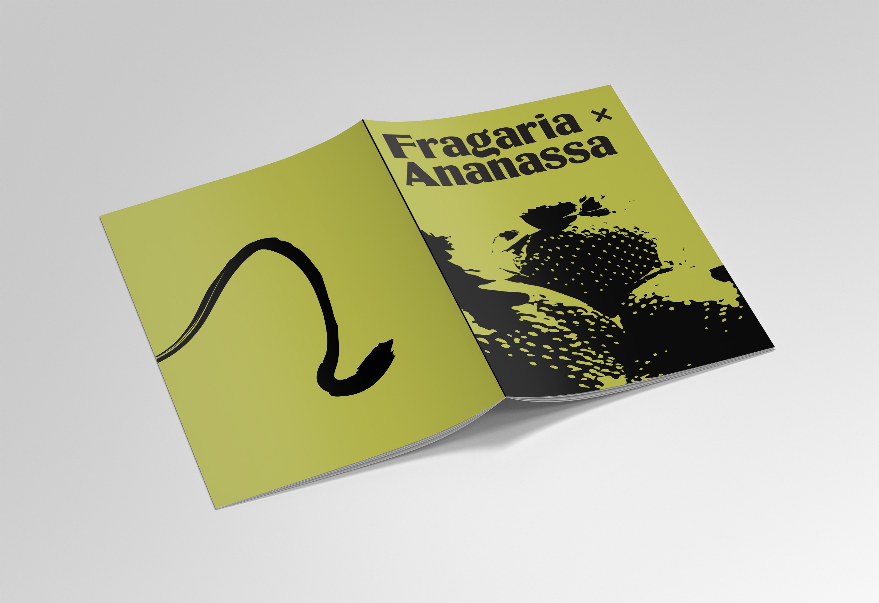 Front and back cover of book facing down