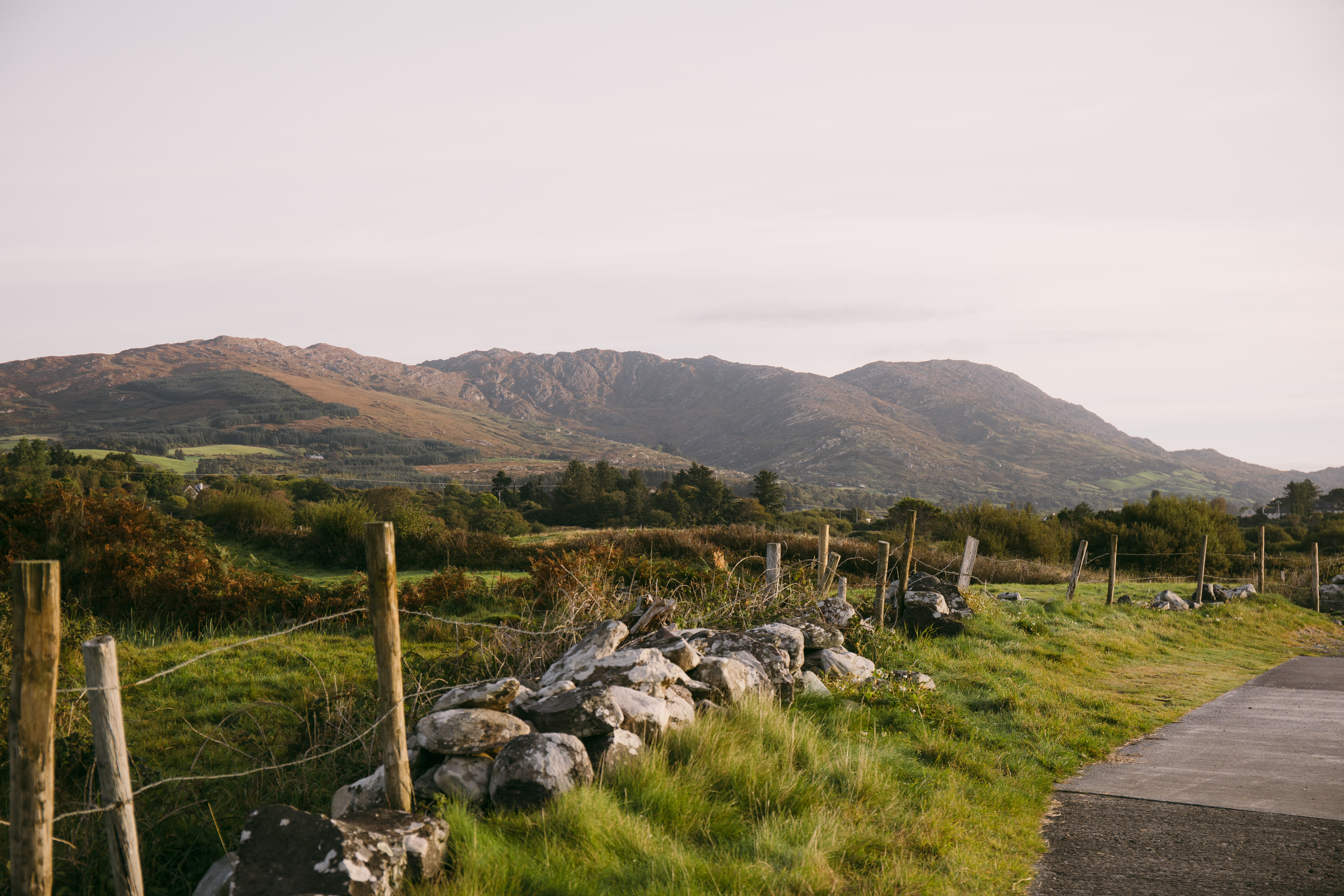 Antique lantern among the trees at Mossie's B&B