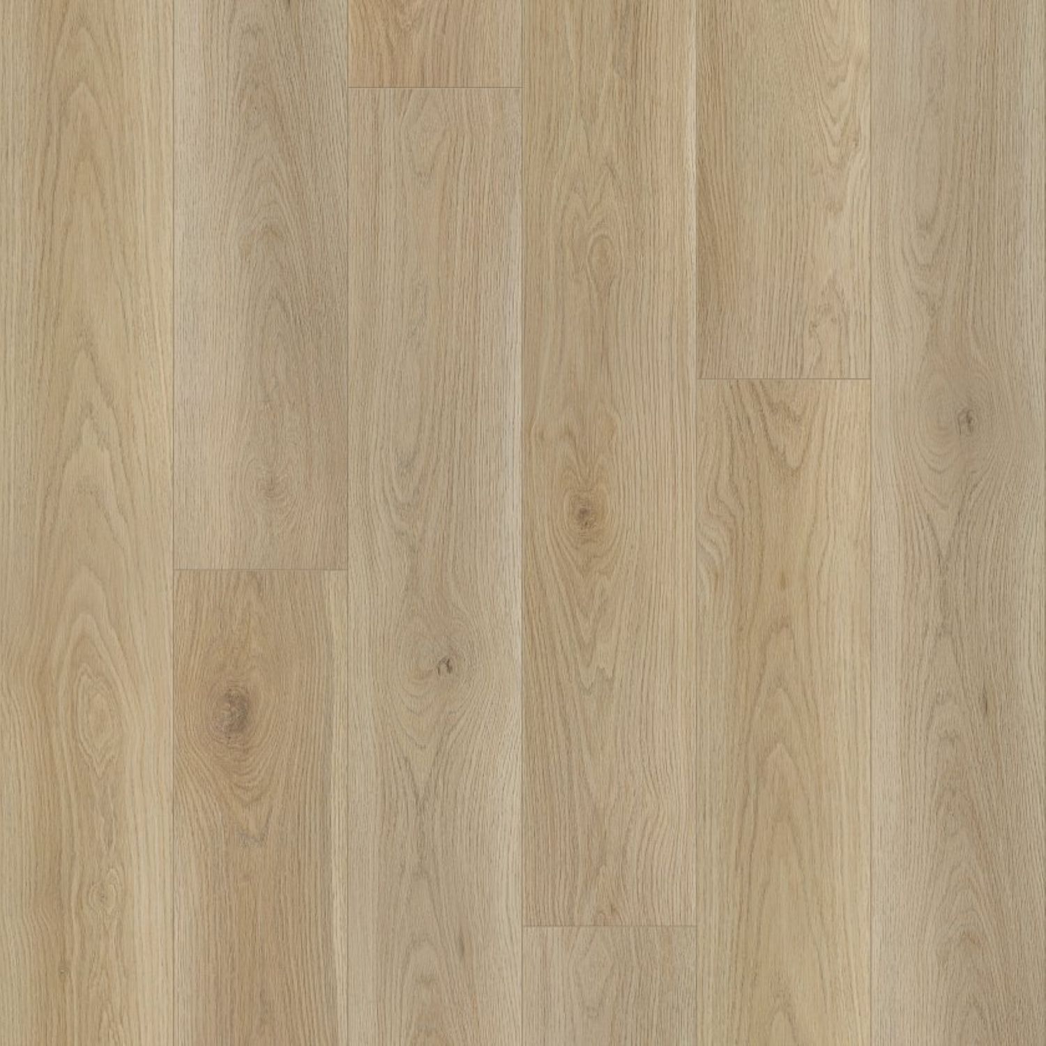 Lago Divine - Vashti.jpg