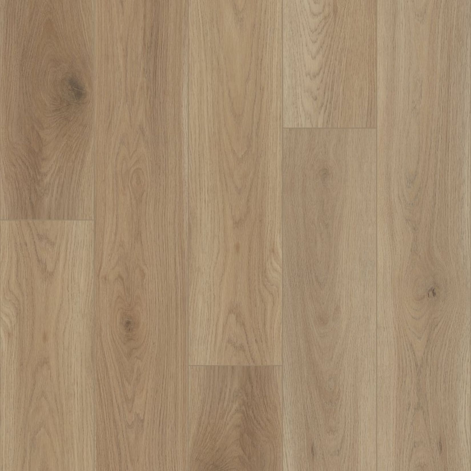 Lago Divine - Hosanna.jpg