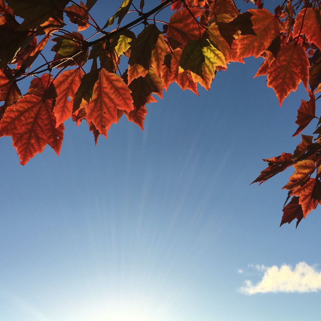 Kids Teaching - How We Know God Better, Sacrament Communion