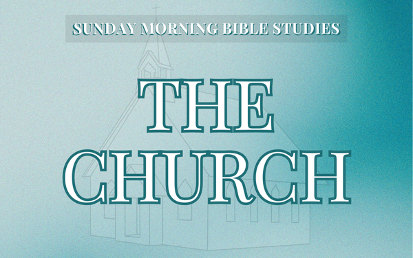 Kids' and Youth Bible Studies
