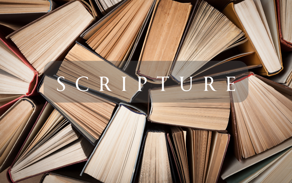 Adult Teaching Series