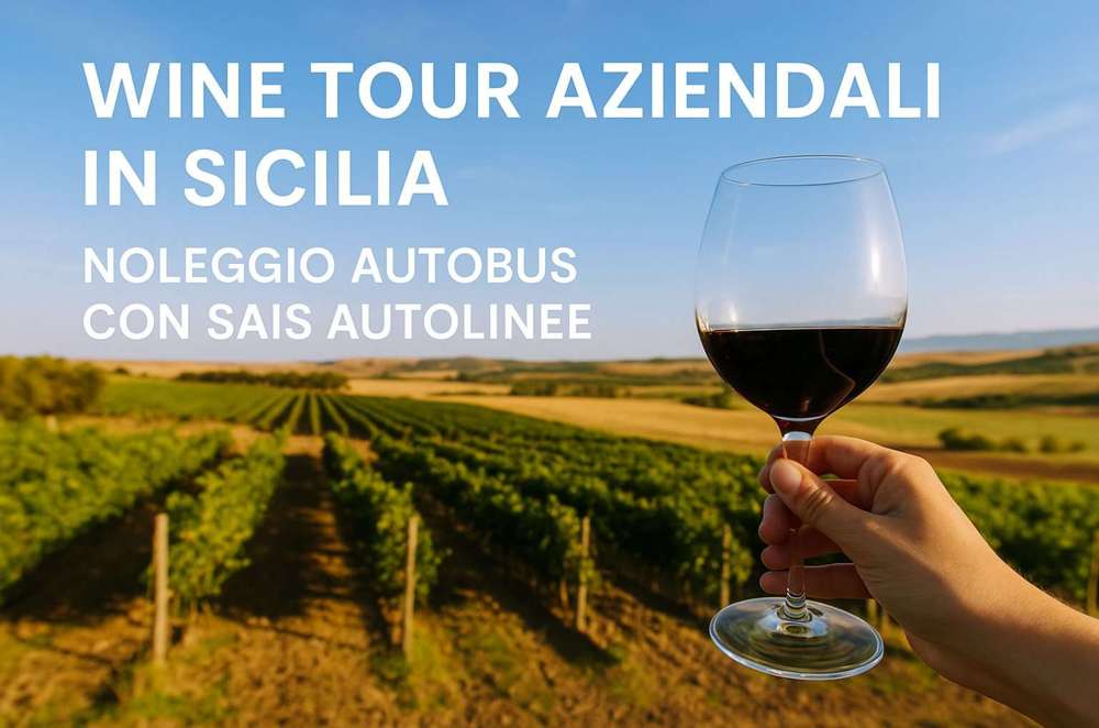 Wine Tour in Sicilia? Noleggia il tuo pullman con SAIS Autolinee