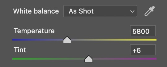 color correction basics