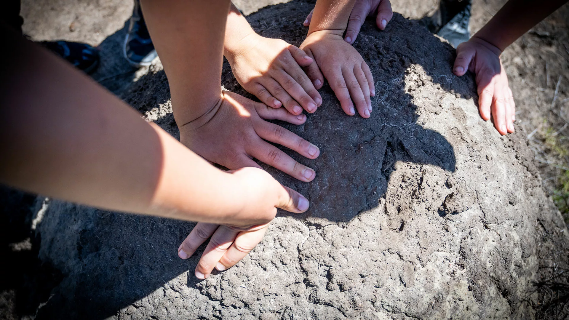 Junior Ranger Programme