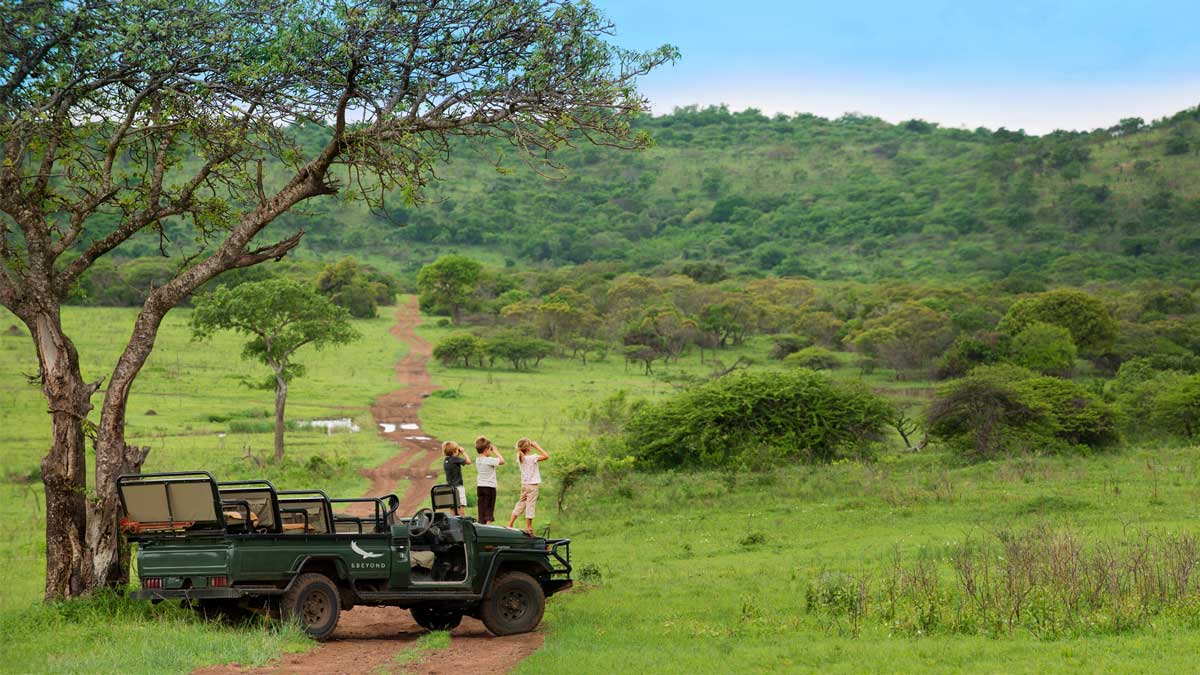 Game Drives 