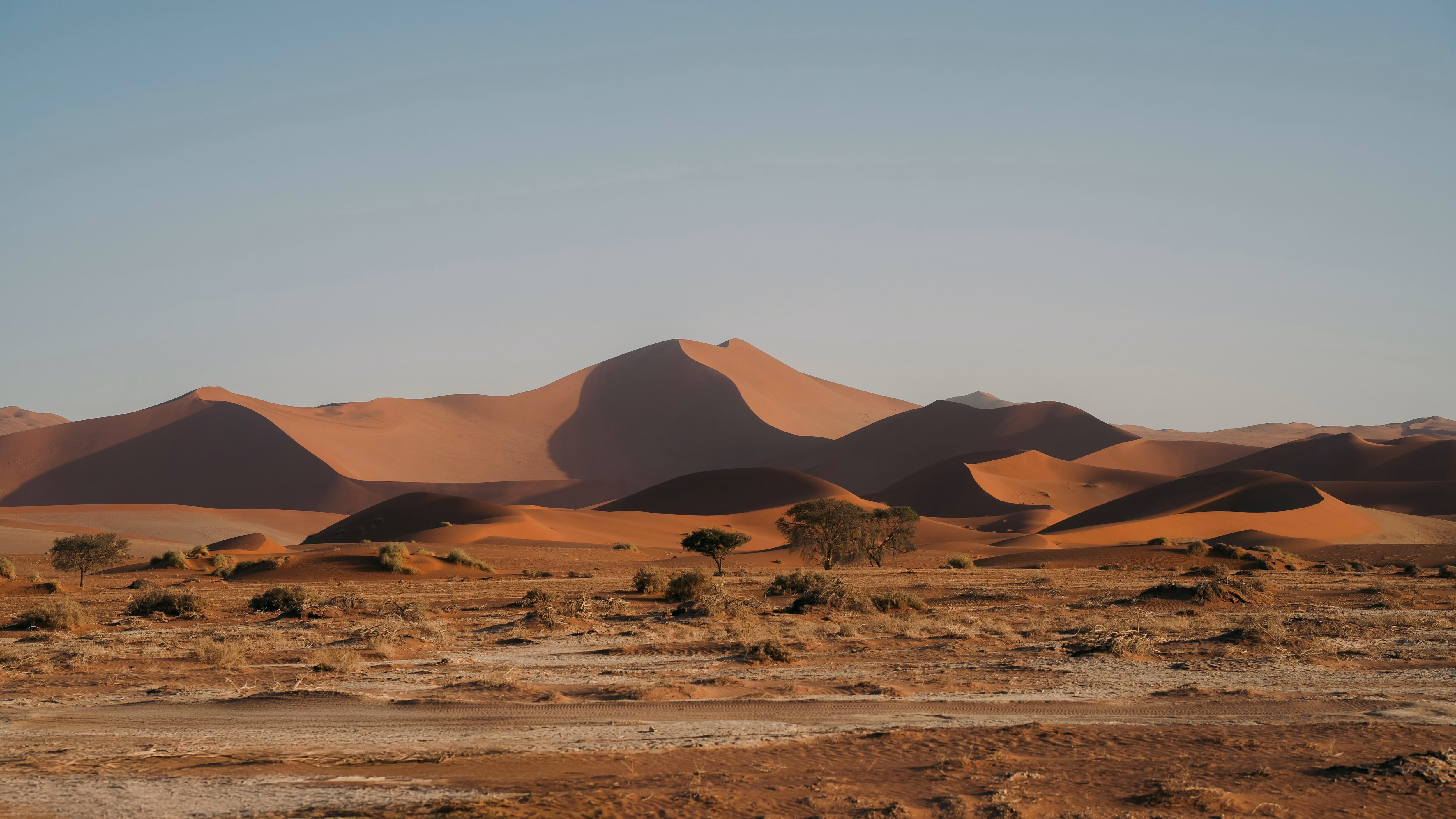 Namib Desert, Namibia