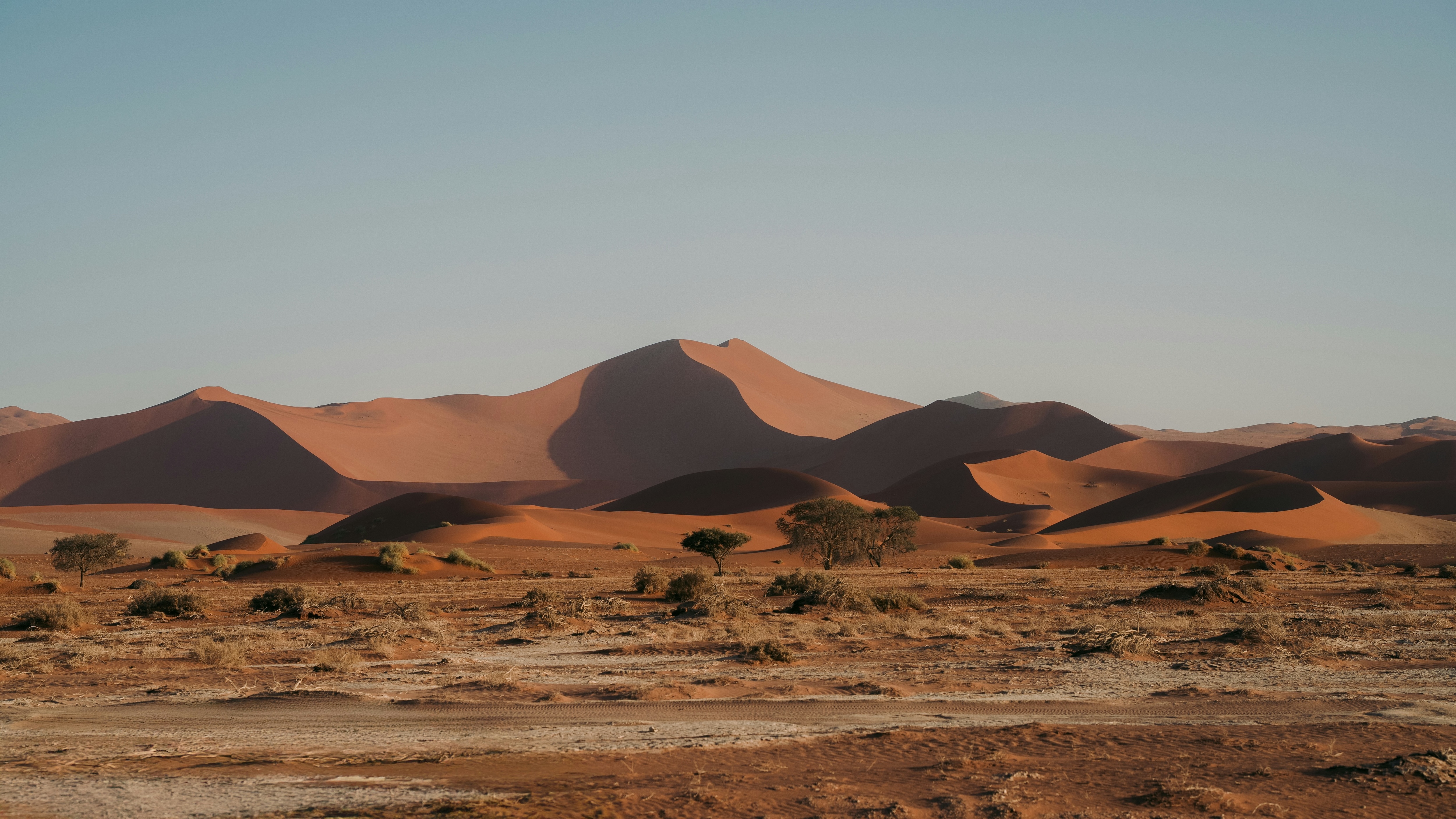 Namib Desert, Namibia