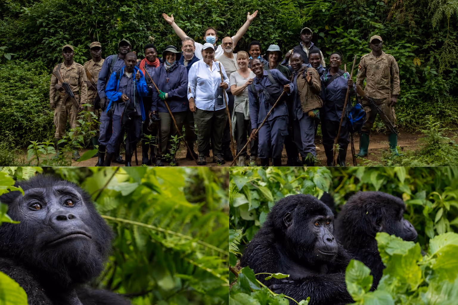 Bwindi Impenetrable Forest National Park Uganda