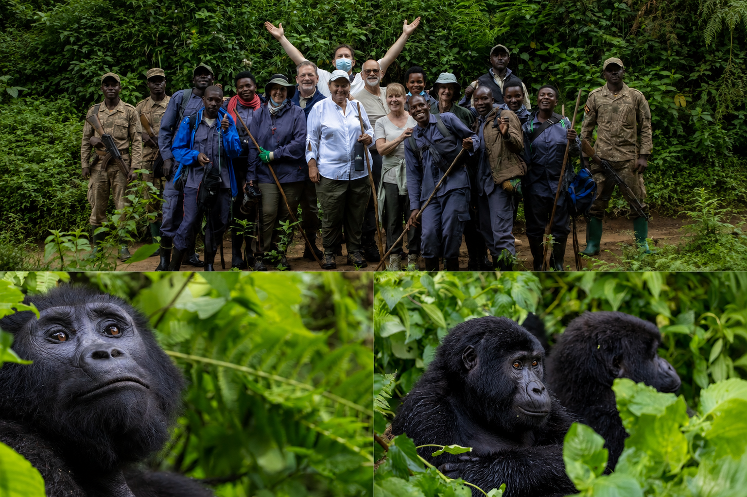 Bwindi Impenetrable Forest National Park Uganda