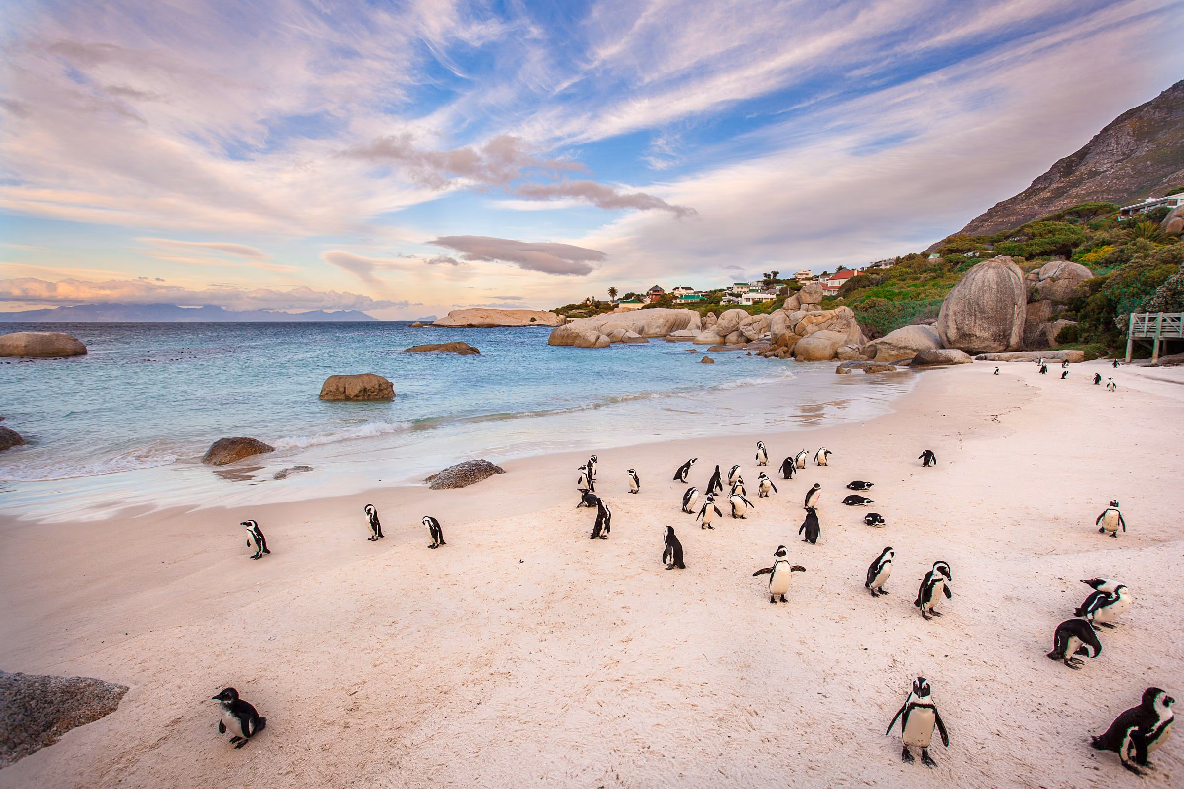 Boulders Beach, South Africa