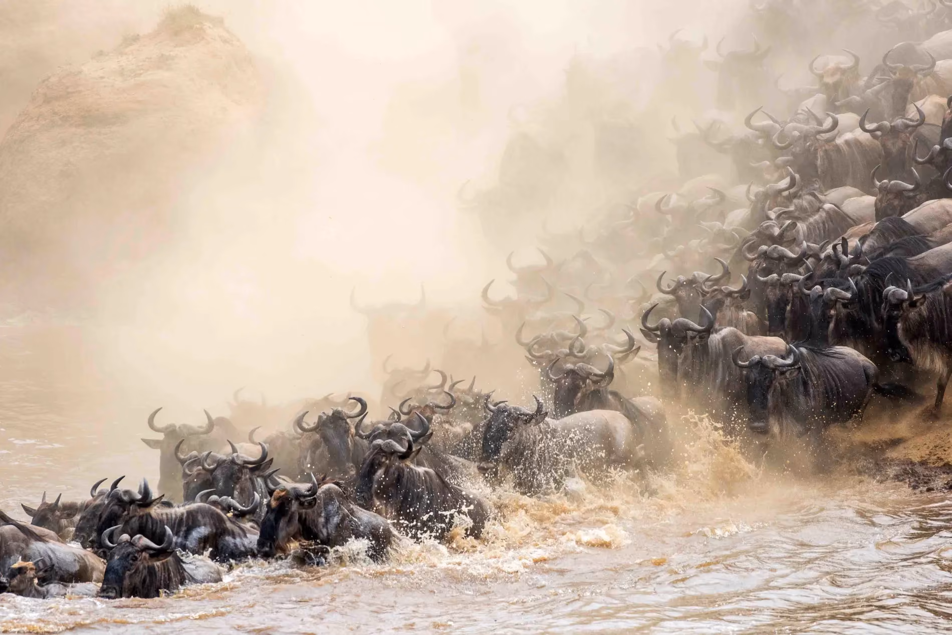 Mara River Crossing