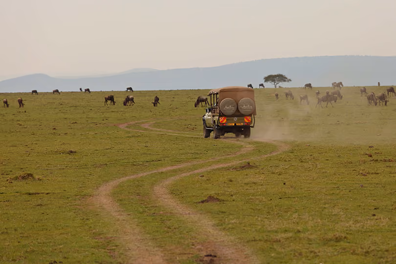 Mara Naboisho Conservancy 