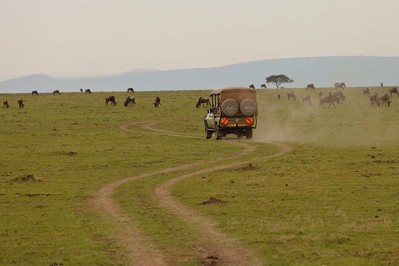 Mara Naboisho Conservancy