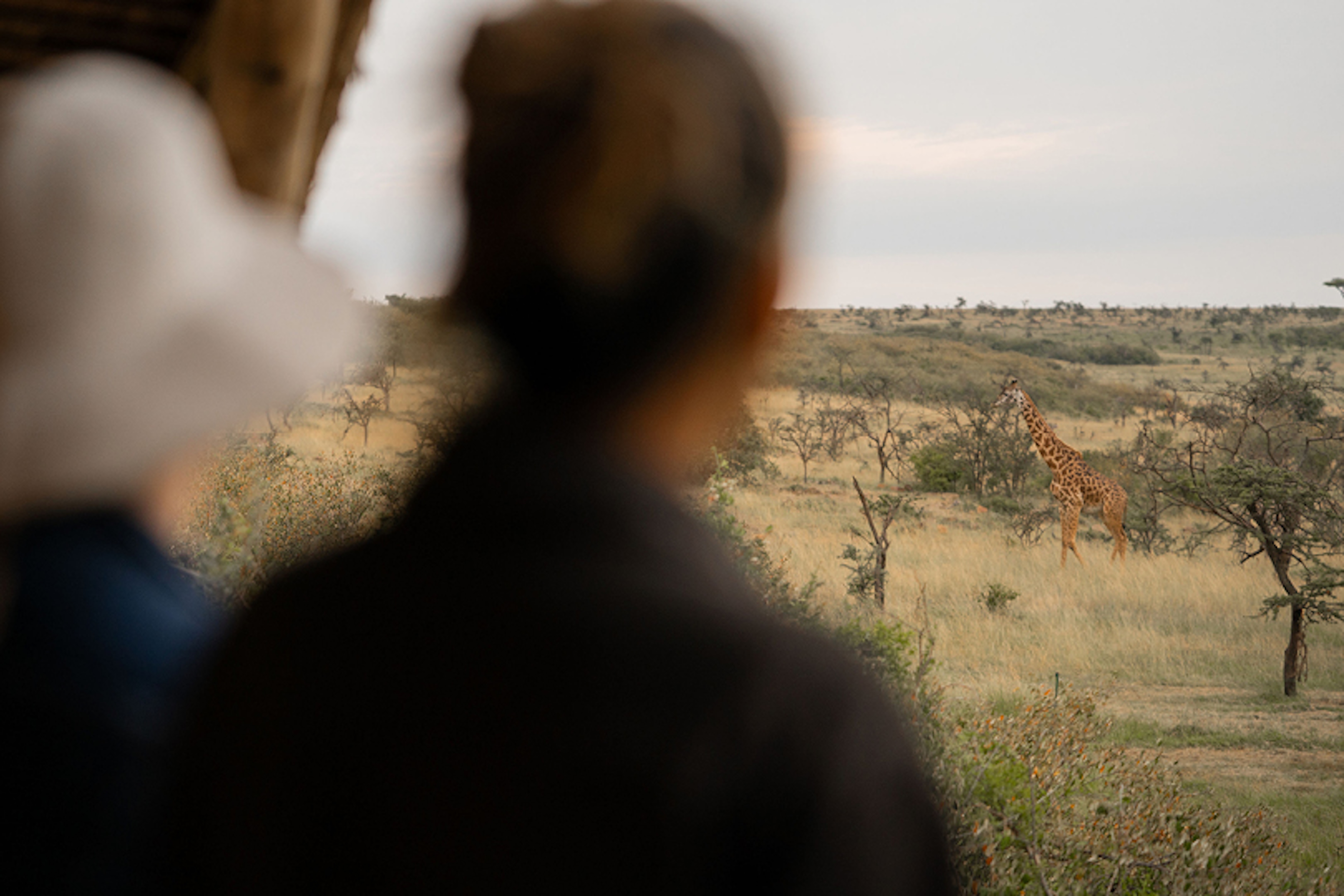 Naboisho Conservancy (Maasai Mara) - Asilia Africa