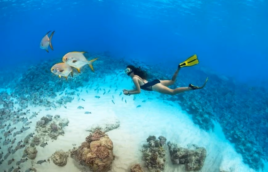Snorkelling Blue Safari, Seychelles