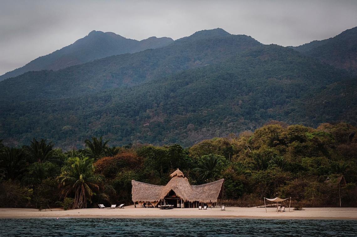 Greystroke, Mahale Mountains Tanzania