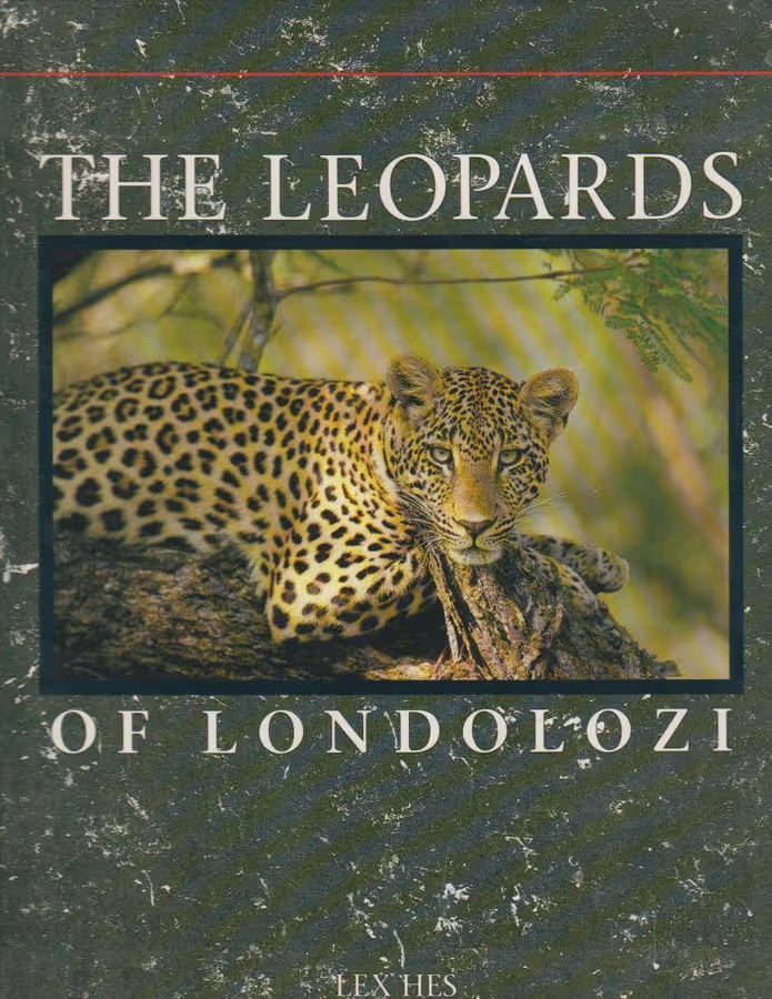 The Leopards of Londolozi book cover by Lex Hes