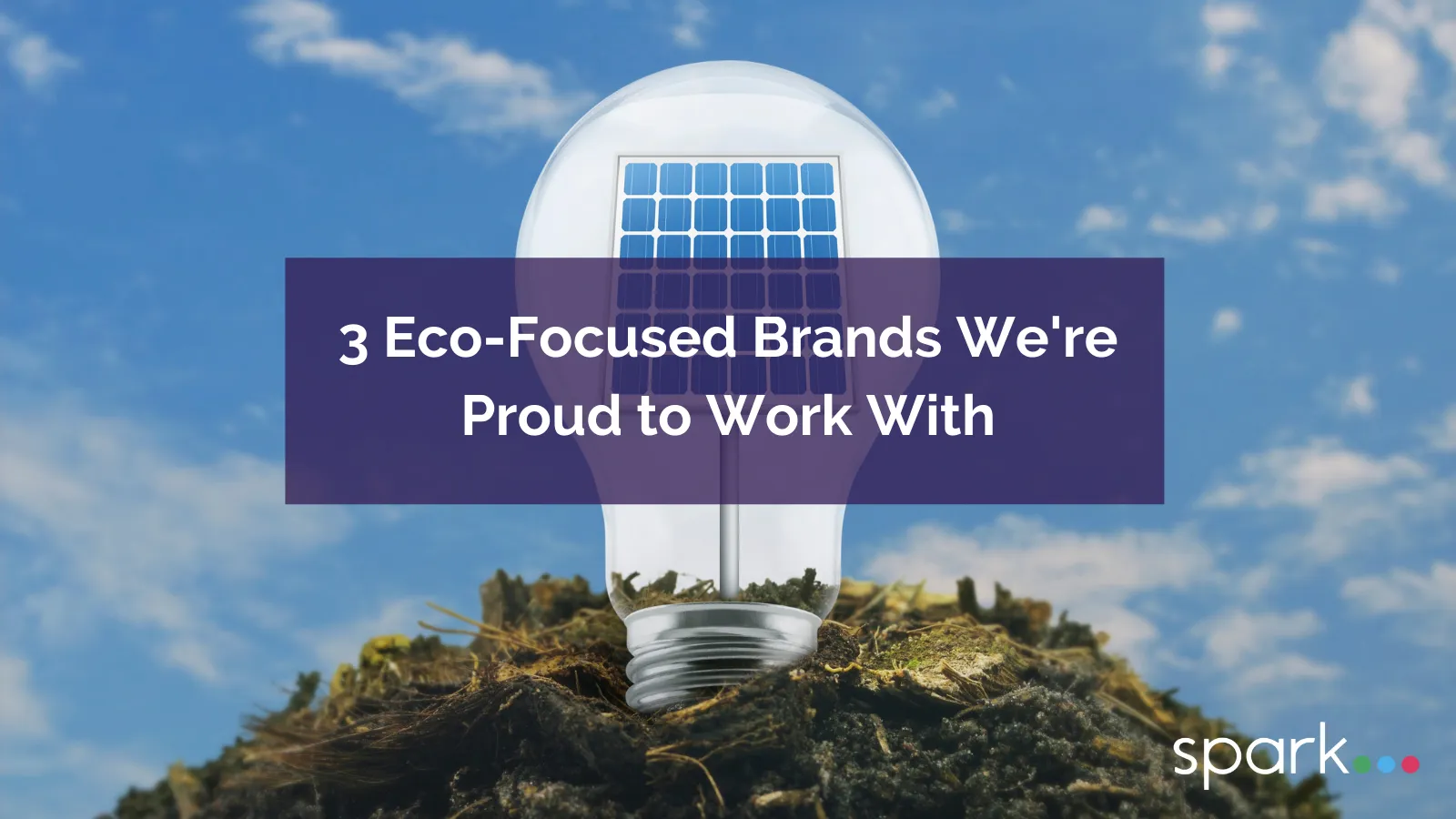Sparkpr | 3 Eco-Focused Brands We're Proud to Work With