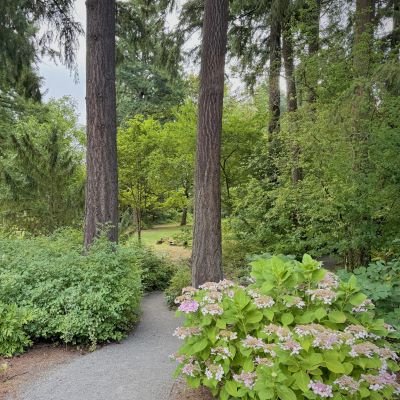 A path in the Garden