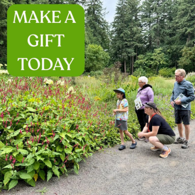People in the Pollinator Garden
