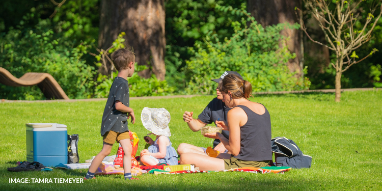 Sip & picnic