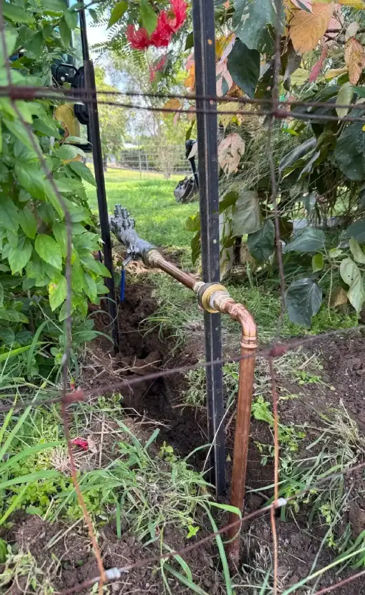 A newly installed copper backflow prevention device connected to outdoor piping in a garden area.