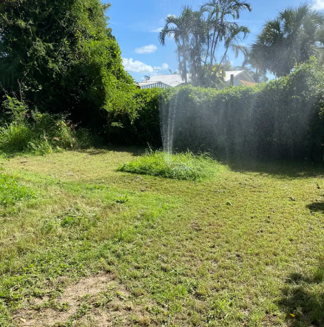 Burst pipe in Townsville garden causing water loss and property damage, requiring urgent pipe repair services from local plumbers.