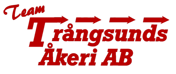 Företagets logotyp