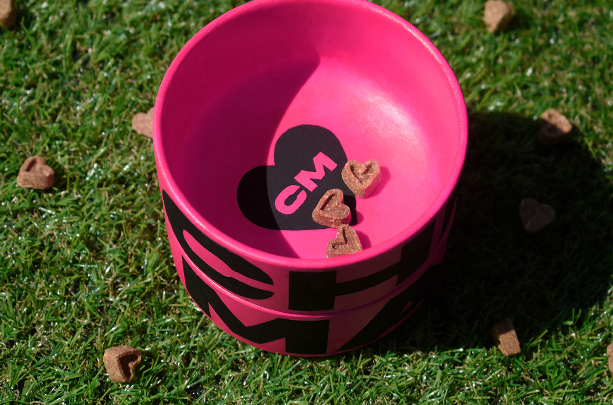Custom Chewmate™ dog bowl photographed with dog treats on synthetic grass